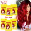 Kamill Flame Red Pouch Hair Color – 25 gm (Pack of 6)